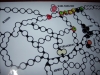board_5